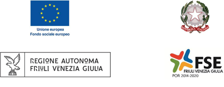 REGIONE AUTONOMA FRIULI VENEZIA GIULIA IMG